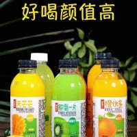 暢脈飲果汁風(fēng)味飲料350ml