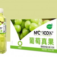 小輕果語葡萄果肉復(fù)合果汁飲料 488ml×15瓶